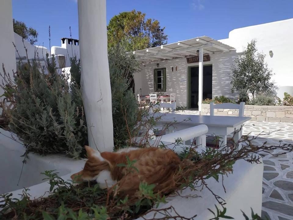 Thalassitra Village Hotel Adamantas Eksteriør billede